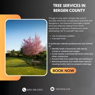 Tree Services in Bergen County