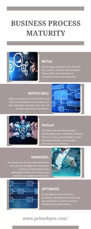 Business process maturity