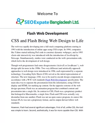 Flash Web Development