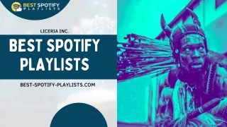 Best Spotify Playlists