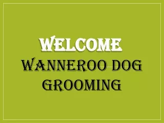 If you are looking for the best Large Dog Grooming in Wanneroo