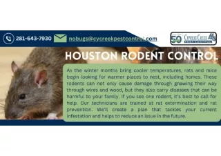 HOUSTON RODENT CONTROL