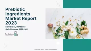 Prebiotic Ingredients Market Growth Analysis, Latest Trends And Business 2032