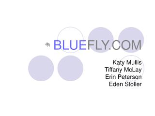 BLUE FLY.COM