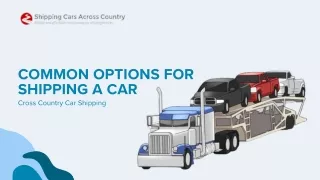 Common Options for Shipping a Car