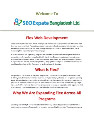 Flex Web Development