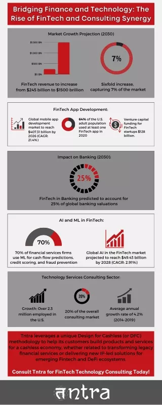 Bridging Finance and Technology: The Role of Technology Consulting in FinTech