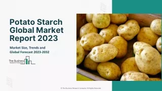 Potato Starch Market Global Outlook, Share And Forecast To 2032