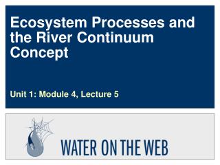 Ecosystem Processes and the River Continuum Concept