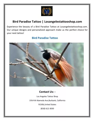 Bird Paradise Tattoo