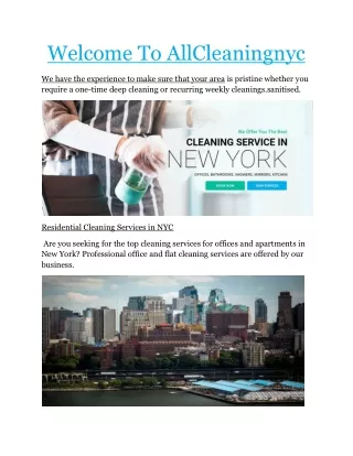 mindy's cleaning service NYC