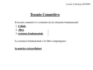 Tessuto Connettivo