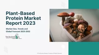 Plant-Based Protein Market