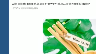 Why Choose Biodegradable Straws Wholesale for Your Business