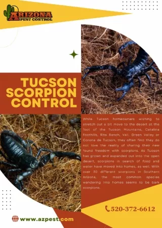 Tucson Scorpion Control