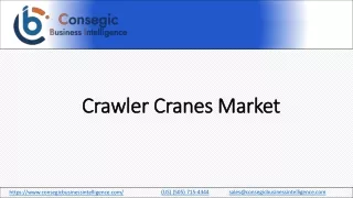 Crawler Cranes Market