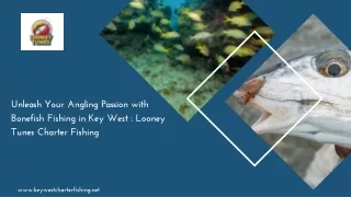 Unleash Your Angling Passion with Bonefish Fishing in Key West  Looney Tunes Charter Fishing (2)