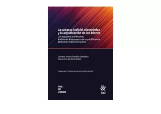 Download La subasta judicial electrónica y la adjudicación de los bienes Con esq