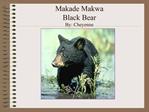 Makade Makwa Black Bear By: Cheyenne