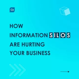 How Information Silos are Hurting Your Business