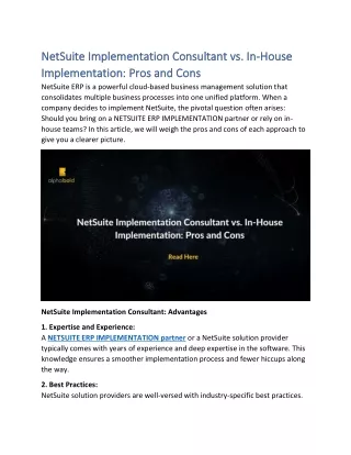 NetSuite Implementation Consultant vs. In-House Implementation Pros and Cons