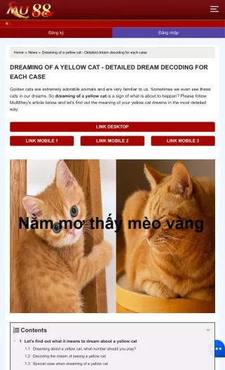 nam_mo_thay_meo_vang