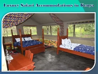 Luxury Safari Accommodations in Kenya