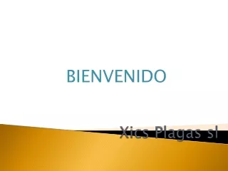Consigue los mejores Servicios de Desinfección de Plagas en Santa Coloma de Gramenet