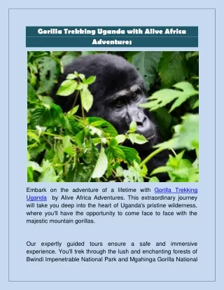 Gorilla Trekking Uganda with Alive Africa Adventures