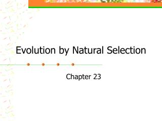 Evolution by Natural Selection