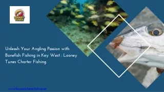 Unleash Your Angling Passion with Bonefish Fishing in Key West  Looney Tunes Charter Fishing