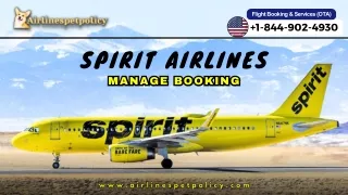 How do I manage my Spirit Airlines booking?