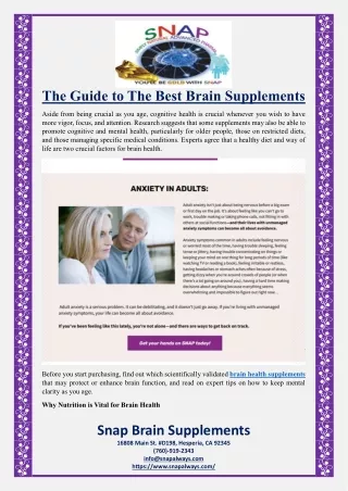The Guide to The Best Brain Supplements