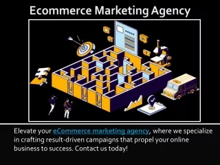 Ecommerce Marketing Agency