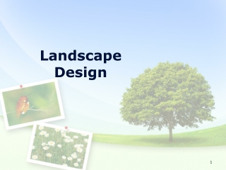 Toronto Landscape Design