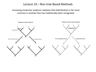 Lecture 19 – Non-tree Based Methods
