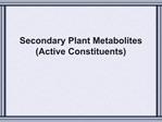 Secondary Plant Metabolites Active Constituents