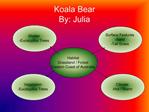 Koala Bear By: Julia