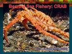 Bearing Sea Fishery: CRAB