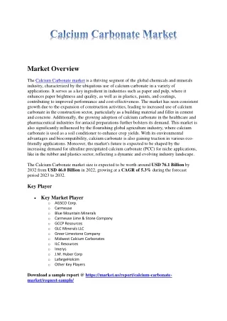 Calcium Carbonate market