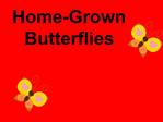 Home-Grown Butterflies