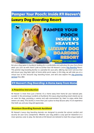 Pamper Your Pooch_ Inside K9 Heaven's Luxury Dog Boarding Resort