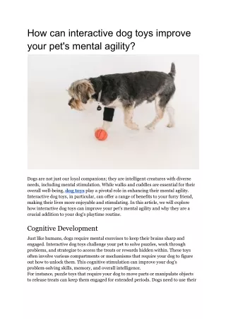 How can interactive dog toys improve your pet's mental agility?