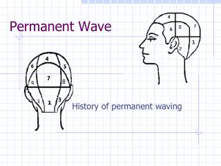 Permanent Wave