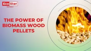 The Power of Biomass Wood Pellets