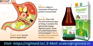 Enhance Digestion, Alleviate Acidity, and Banish Bloating with Dizester Herbal Formula