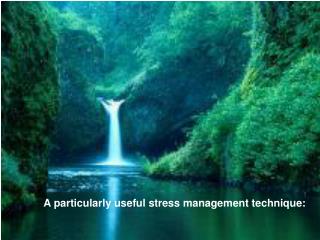 A particularly useful stress management technique: