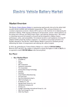 Electric Vehicle Battery Market