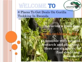 6 Places To Get Deals On Gorilla Trekking In Rwanda-1