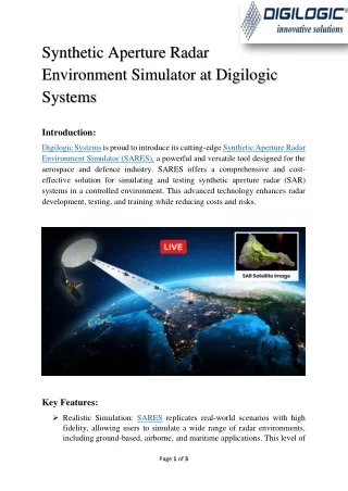 Synthetic Aperture Radar Environment Simulator - Digilogic Systems